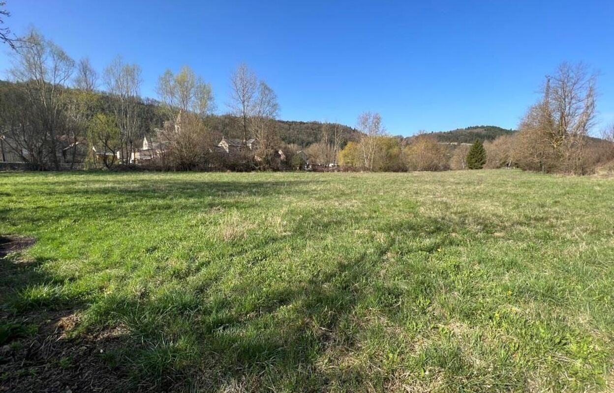 terrain  pièces 3923 m2 à vendre à Les Salelles (48230)