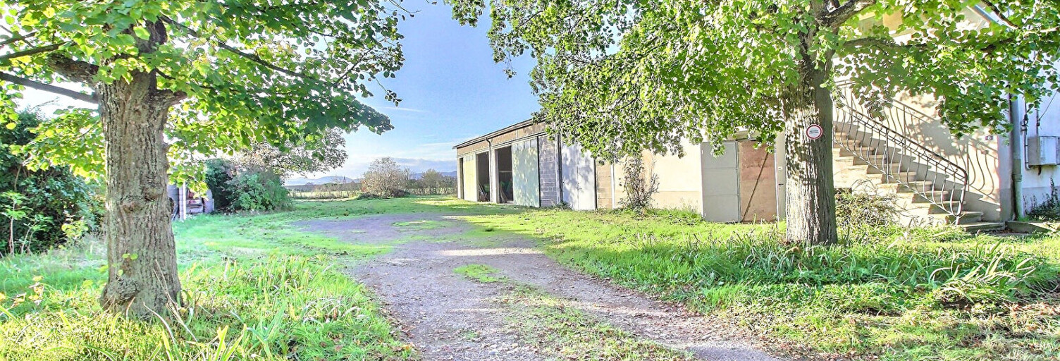 Commerce 3 Pièces 510 m² à vendre à Andrézieux-Bouthéon (42160)