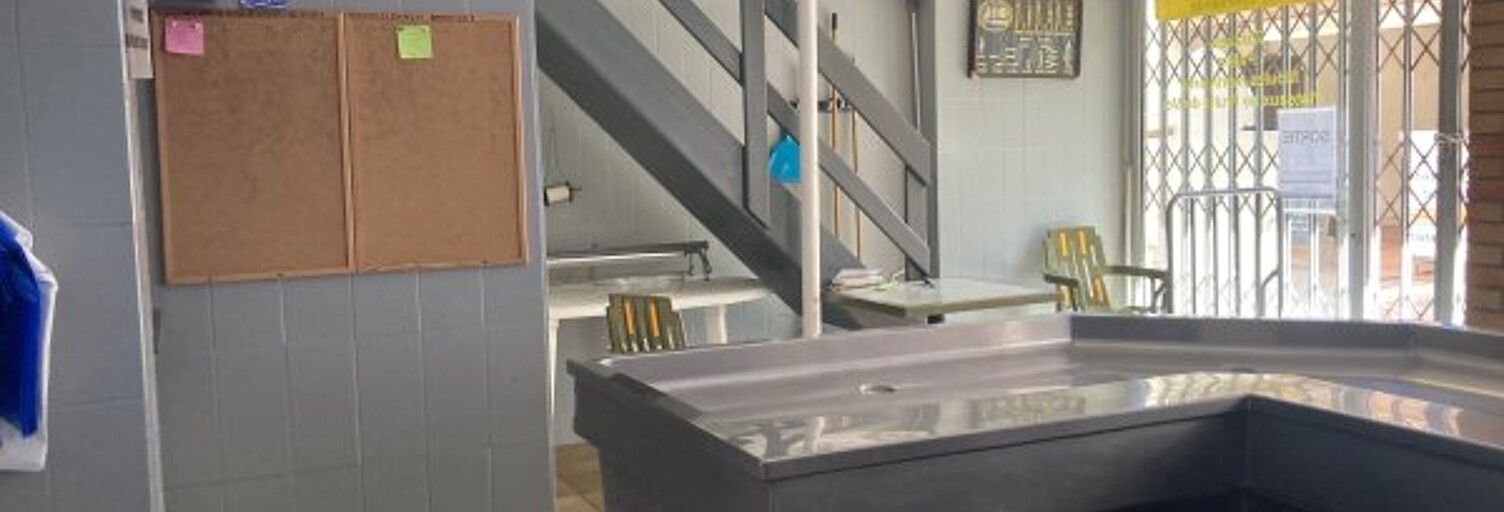 Commerce  60 m² à vendre à Saint-Cyprien (66750)