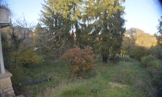 Photo N° 5