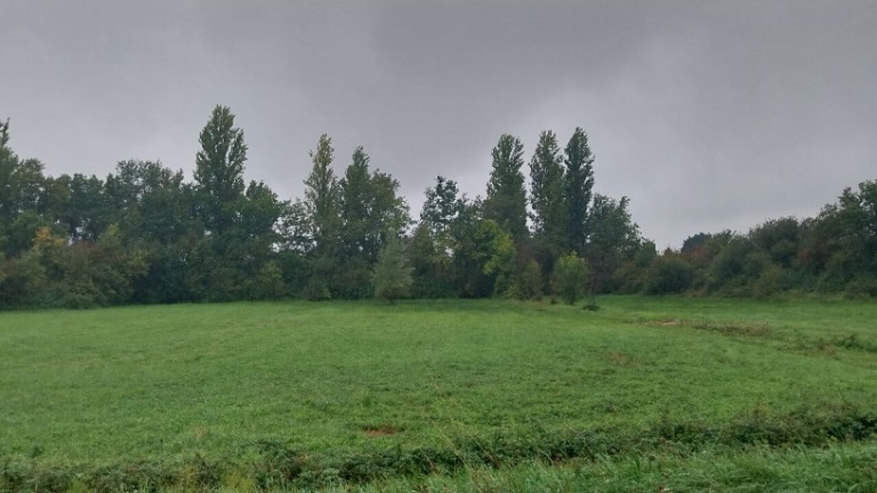 terrain  pièces 980 m2 à vendre à Bourg (33710)