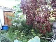A vendre maison avec jardin cloturé et cabanons de jardin — photo 2