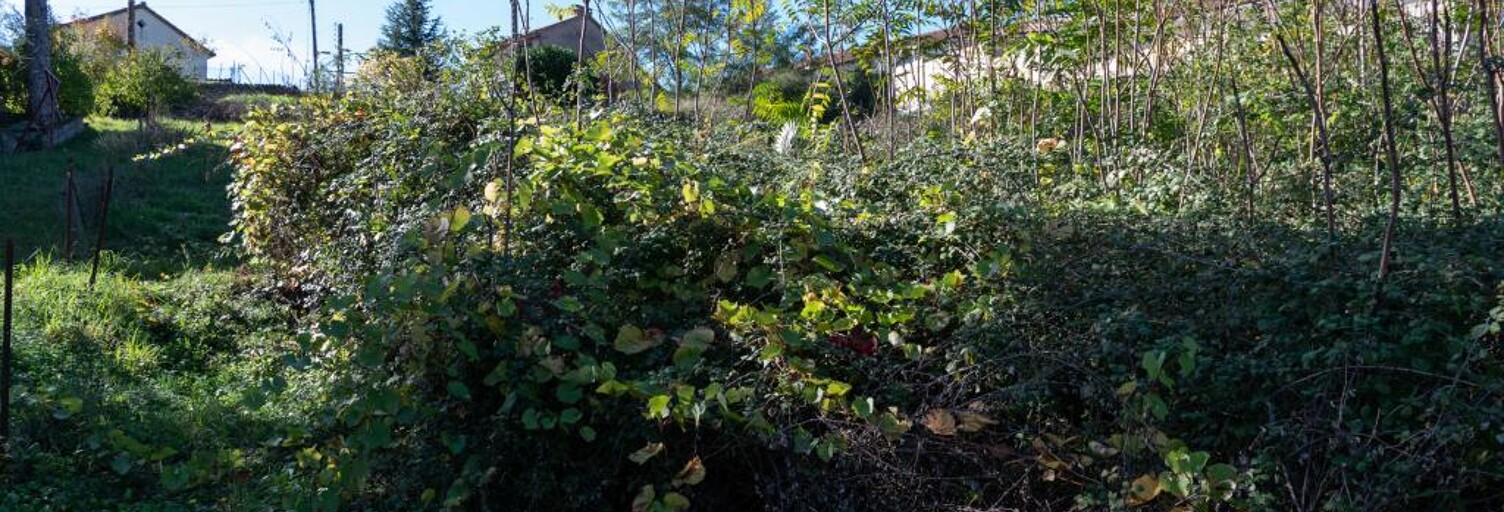 Terrain  1764 m² à vendre à Millau (12100)