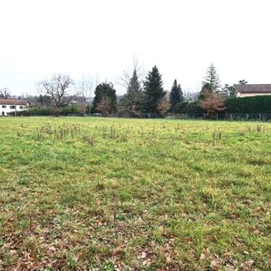 Terrain 1650 m²