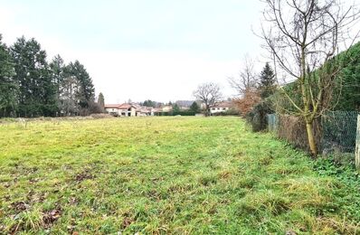 vente terrain 77 000 € à proximité de Magneux-Haute-Rive (42600)