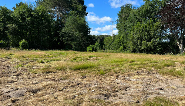 Terrain  à vendre Soustons 40140