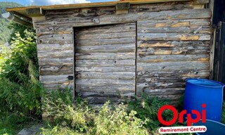 Photo N° 6