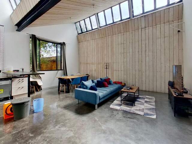 EXCLUSIVITE RUE DE LA POSTE A VILLEURBANNE LOFT A VENDRE AVEC JARDIN — photo du bien