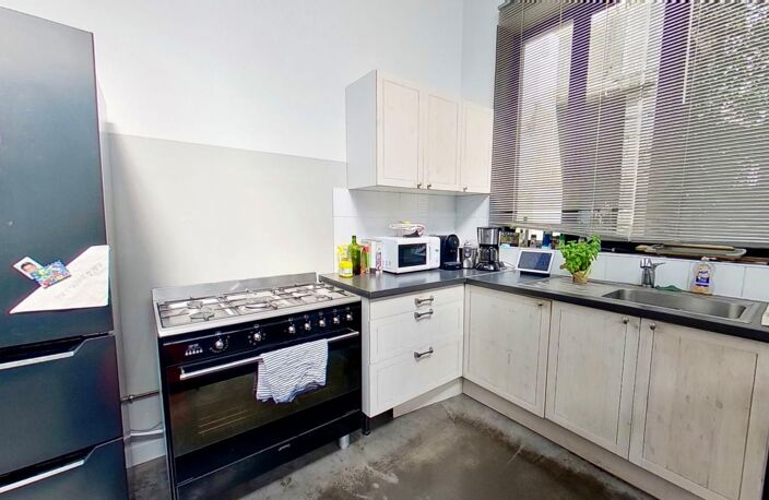 EXCLUSIVITE RUE DE LA POSTE A VILLEURBANNE LOFT A VENDRE AVEC JARDIN — photo 5