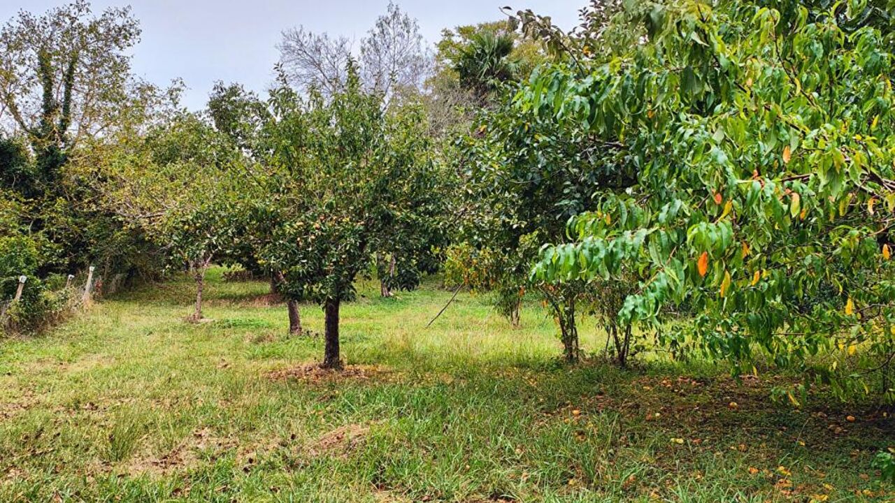 terrain  pièces 1493 m2 à vendre à Noé (31410)