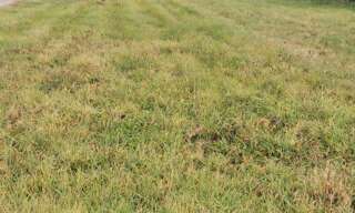 Terrain  1183 m² à vendre à Longages (31410)