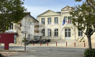 Photo N° 6