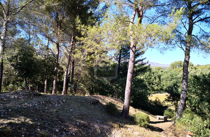 ROUSSET — photo 2