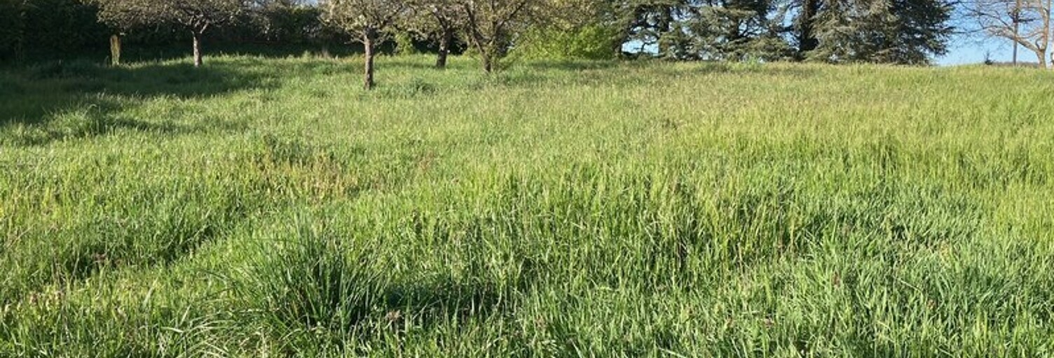 Terrain  600 m² à vendre à Vienne (38200)