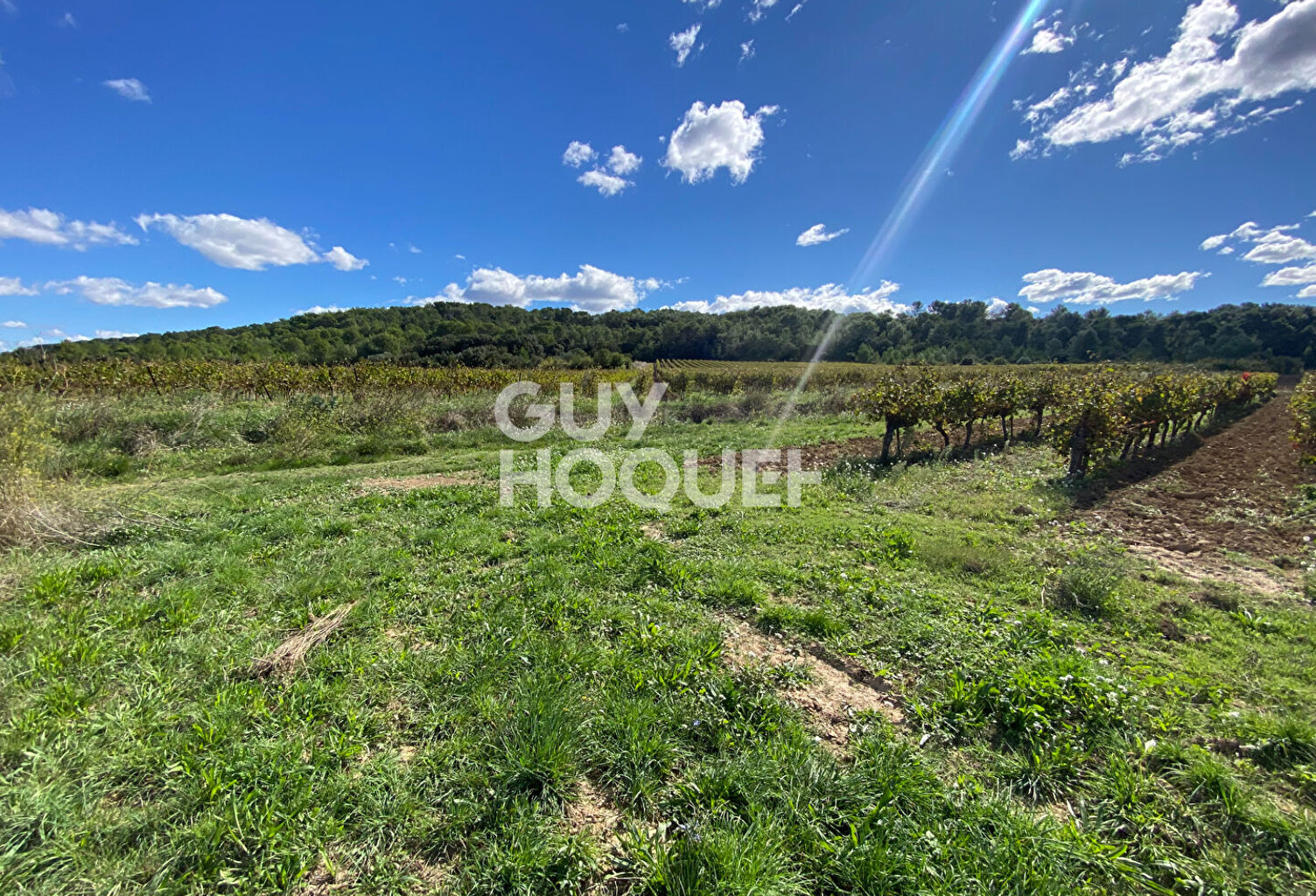 Terrain de loisirs Calvisson — photo 1