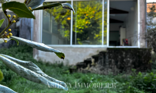 Photo N° 5