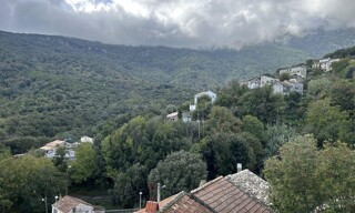 Photo N° 14
