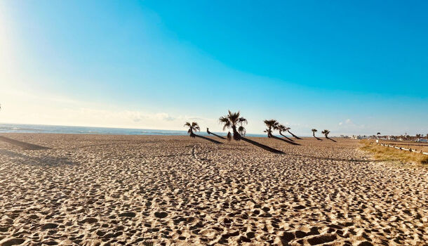 Villa / Maison 3 pièces  à louer Barcarès (Le) 66420