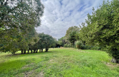 vente terrain 210 000 € à proximité de Montaud (34160)