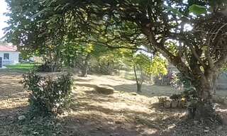 Maison 5 Pièces 130 m² à vendre à Vacquiers (31340)