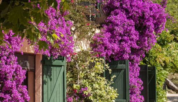 Villa / Maison 8 pièces  à vendre Lavandou (Le) 83980