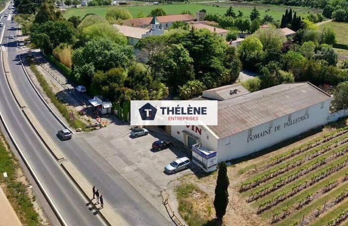 LOCAL COMMERCIAL à LOUER — photo 5