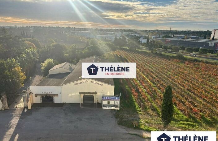 LOCAL COMMERCIAL à LOUER — photo 3