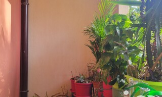 Photo N° 6