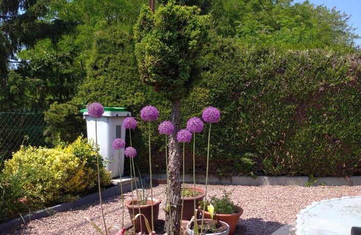 Vente maison 3 pièces 65 m² Soissons (02200) — photo 4