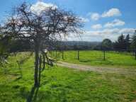 Maison de 87m² sur propriété de 9.95ha — photo 2