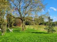Maison de 87m² sur propriété de 9.95ha — photo 3
