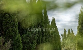 Photo N° 8