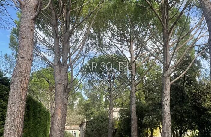 MAS EN PIERRE - L'ISLE SUR LA SORGUE — photo 4