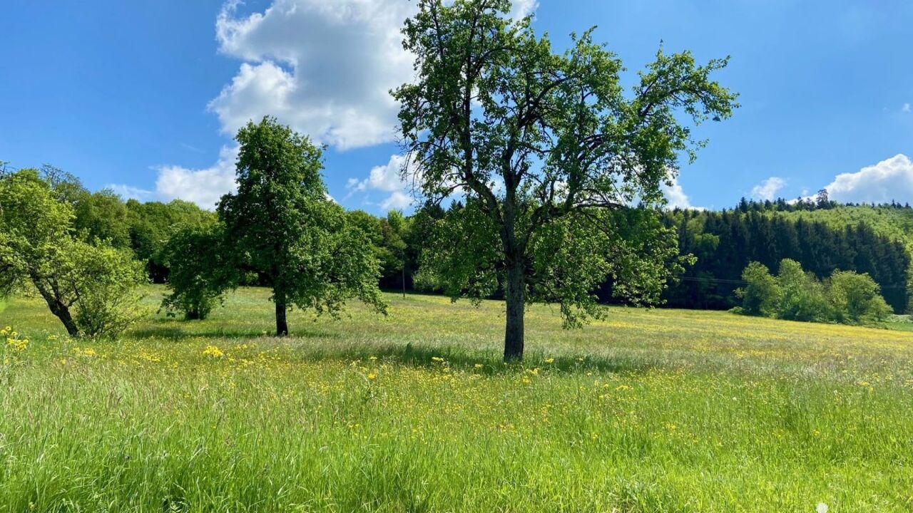 terrain  pièces 1982 m2 à vendre à Bendorf (68480)