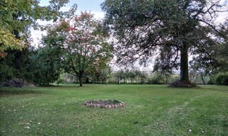 Photo N° 6