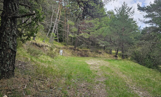 Terrain  10791 m² à vendre à Caille (06750)
