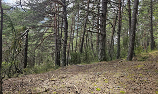 Photo N° 3