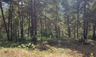 Photo N° 4
