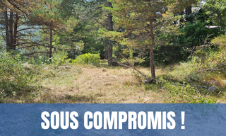 Terrain  10791 m² à vendre à Caille (06750)