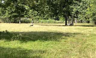 Terrain  1592 m² à vendre à Choussy (41700)