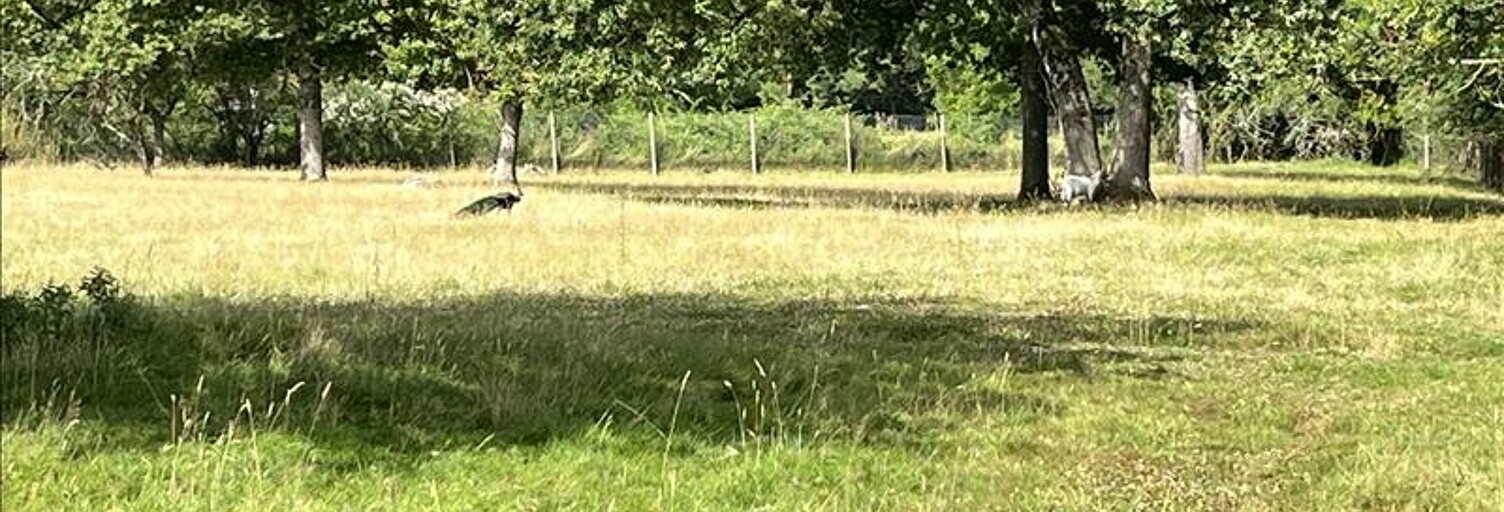 Terrain  1592 m² à vendre à Choussy (41700)