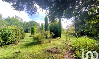 Photo N° 4
