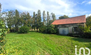 Photo N° 19