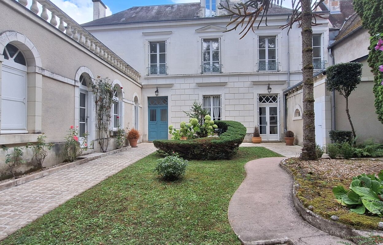 maison 6 pièces 230 m2 à vendre à Azay-le-Ferron (36290)