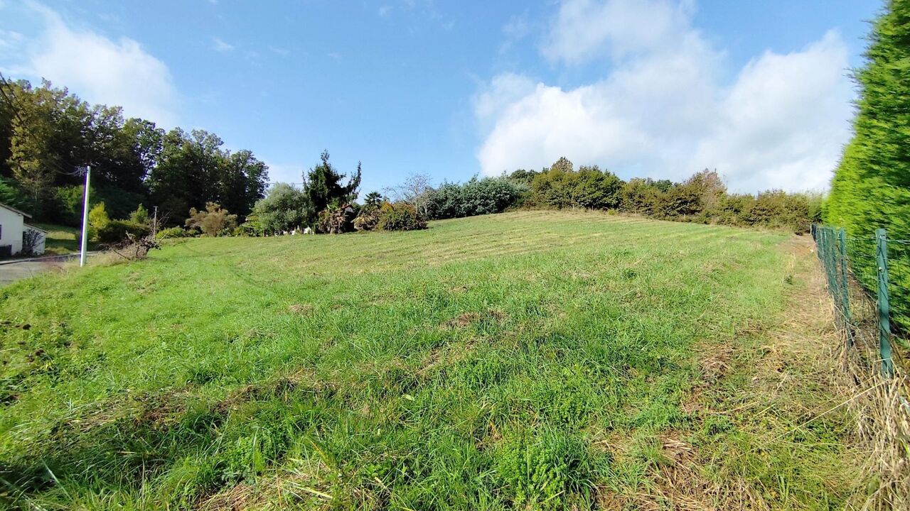 terrain  pièces 1634 m2 à vendre à Moissac (82200)