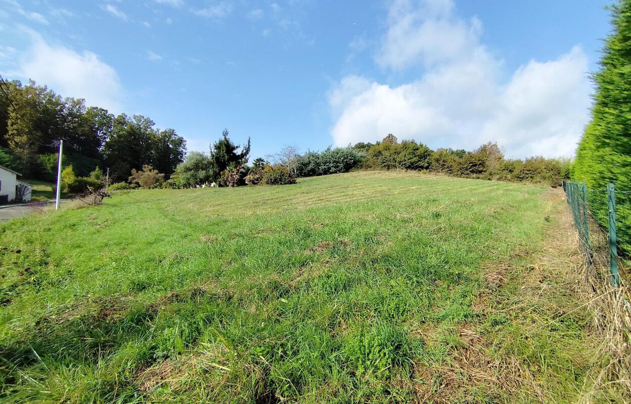 terrain  pièces 1634 m2 à vendre à Moissac (82200)