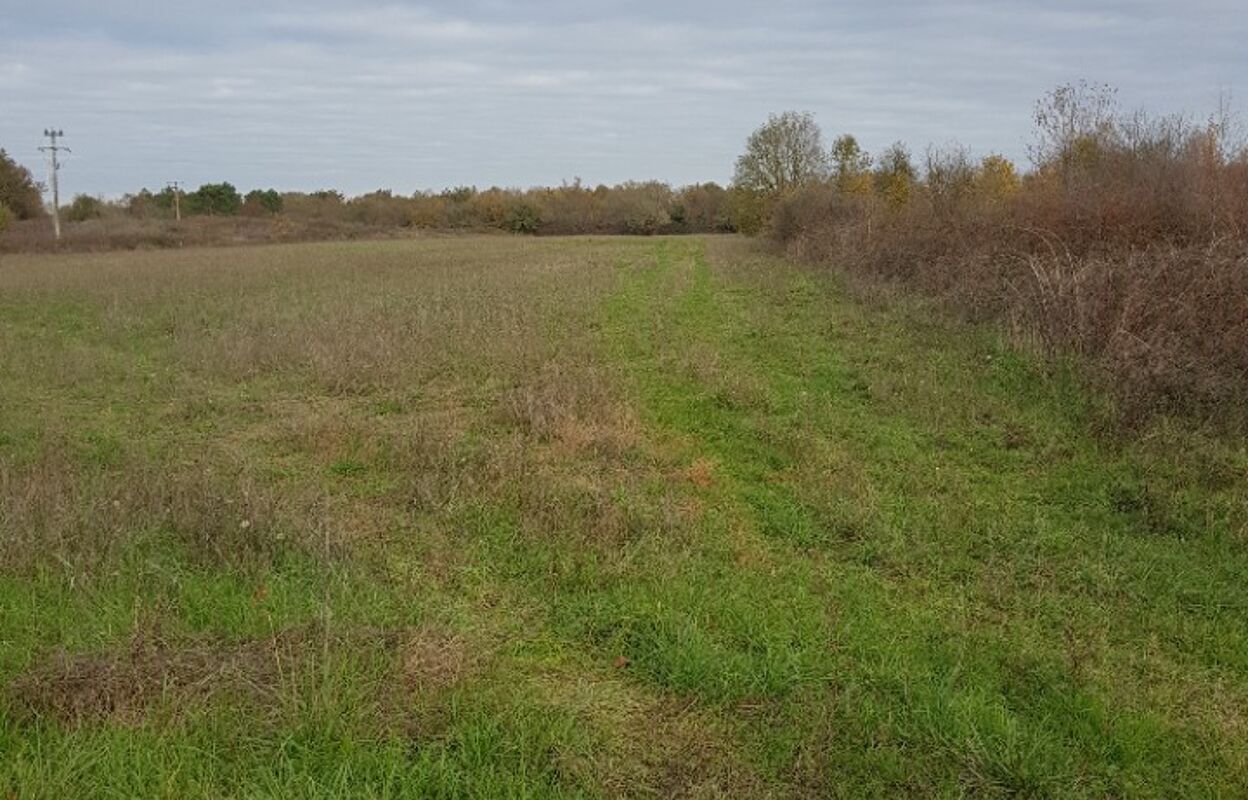 terrain  pièces 900 m2 à vendre à Le Barp (33114)