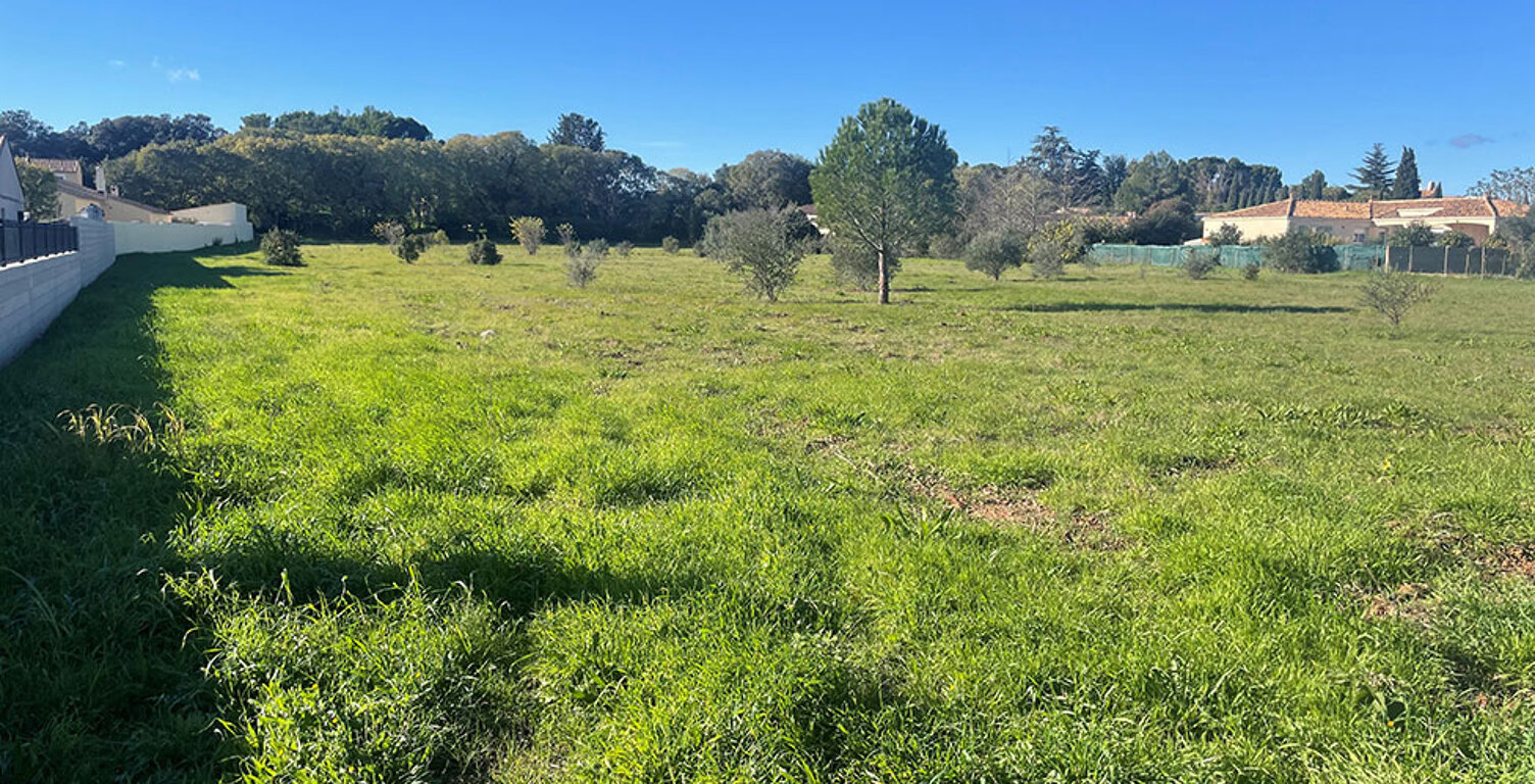 Terrain - 500 — photo 1