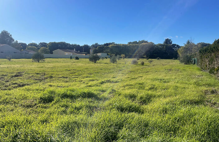 Terrain - 500 — photo 2