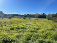Terrain - 563 — photo 2